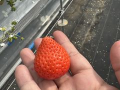 �ۖk�������_���̎ʐ^2