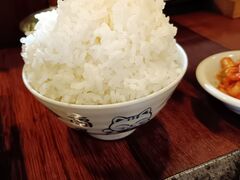 K2����̏ē��z�������ăW�����W�����ւ̓��e�ʐ^1