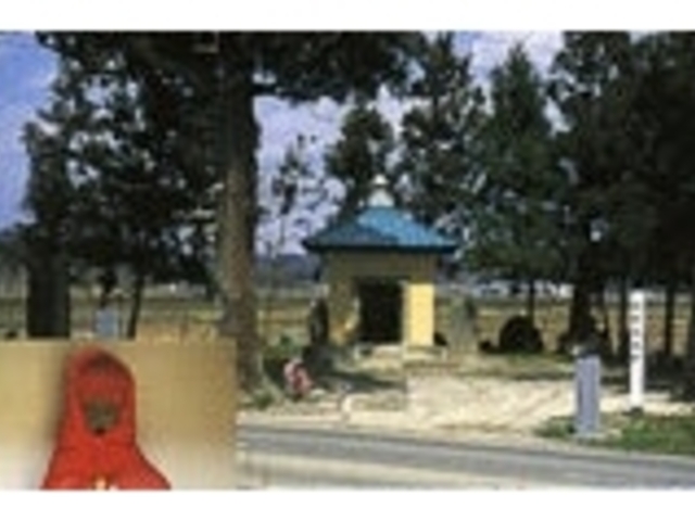 ���P����t���̎ʐ^1