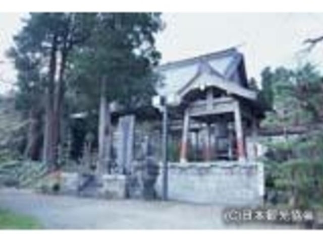 �������̎ʐ^1