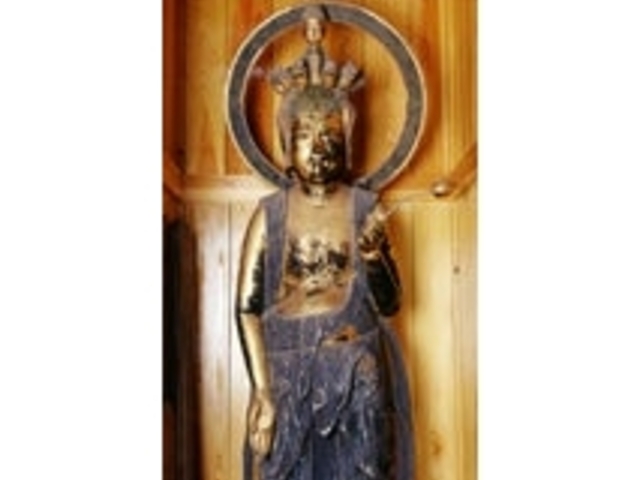 ���J���̎ʐ^1