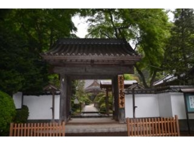 �������̎ʐ^1