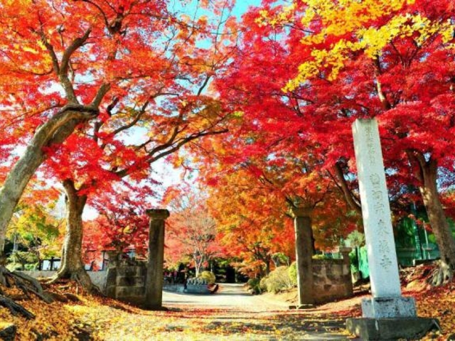 ��k���̎ʐ^1