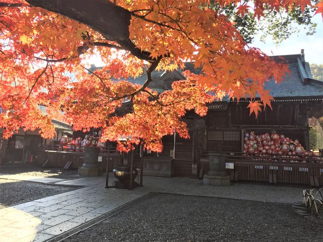 ���юR�B����