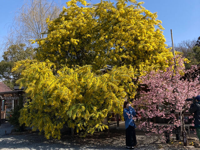 ���юR�B����