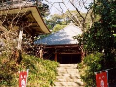 ���y���̎ʐ^1