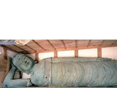 �߉ޟ��ϑ��̎ʐ^1