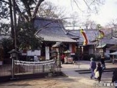 ���X�͕s���̎ʐ^1