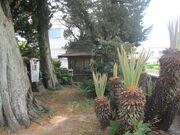 �ג��_�Ђ̎ʐ^1