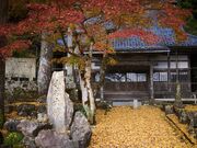 ���J�啧�i�������j�̎ʐ^3