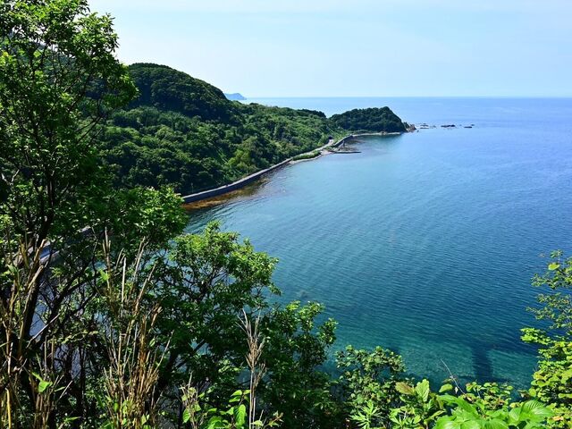 本 歌集 海に鳴る骨 高野岬