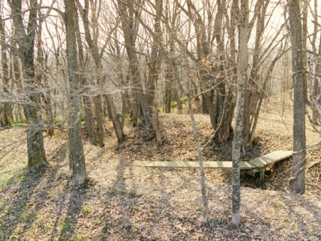 �A�I�V�}�i�C���_�A�I�V�}�i�C���