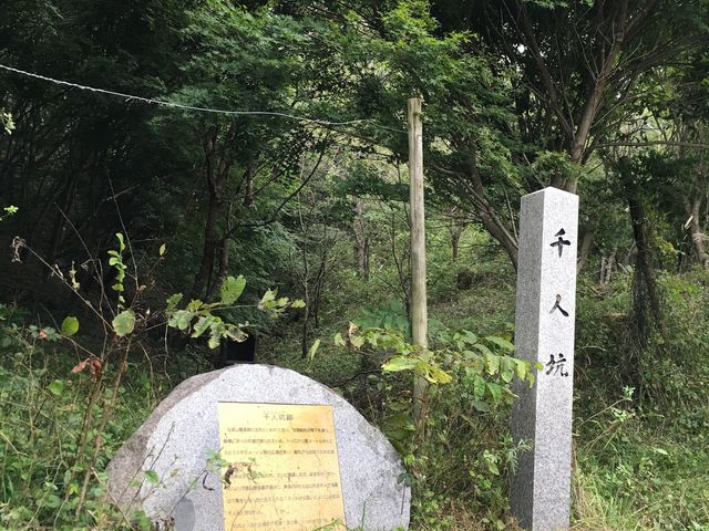 �ʎR���R���