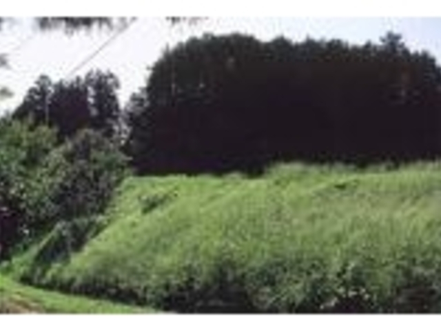 ���c���L��_���c���L��