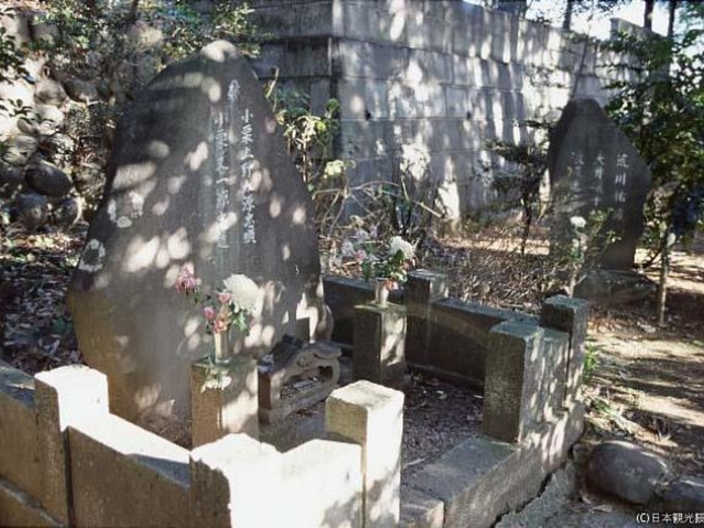 ���I������̕�_���I������̕�