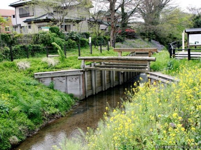 �����ʑD�x_�����ʑD�x