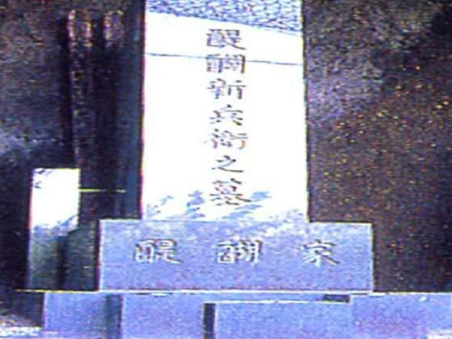 ���V���q�̕�̎ʐ^1