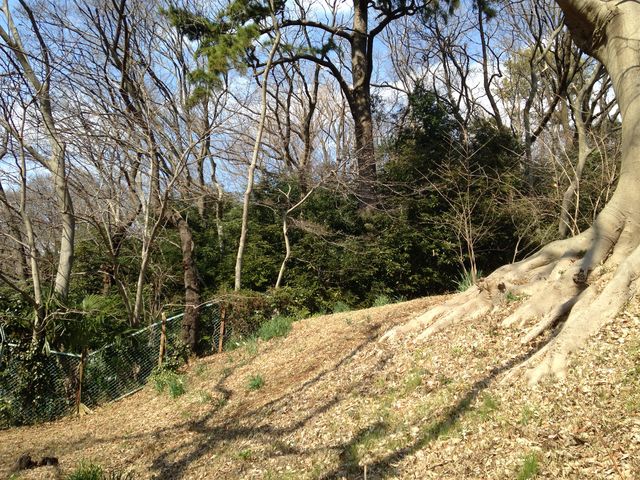 �T�b�R�Õ�