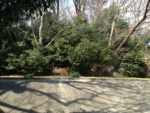 �T�b�R�Õ�