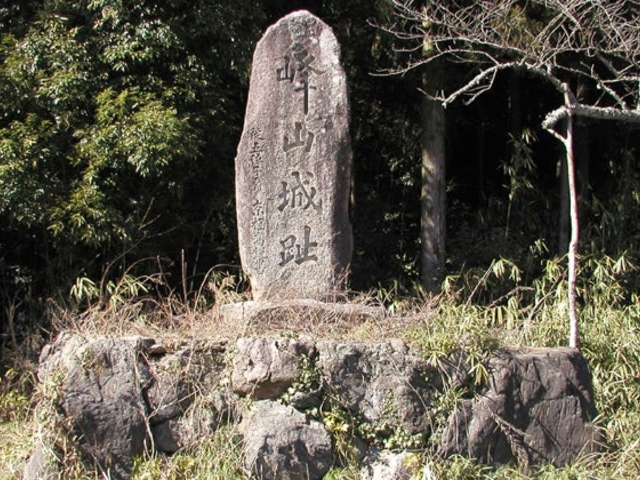 ��R�隬�̎ʐ^1