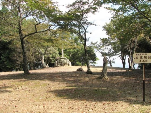 �������_�������