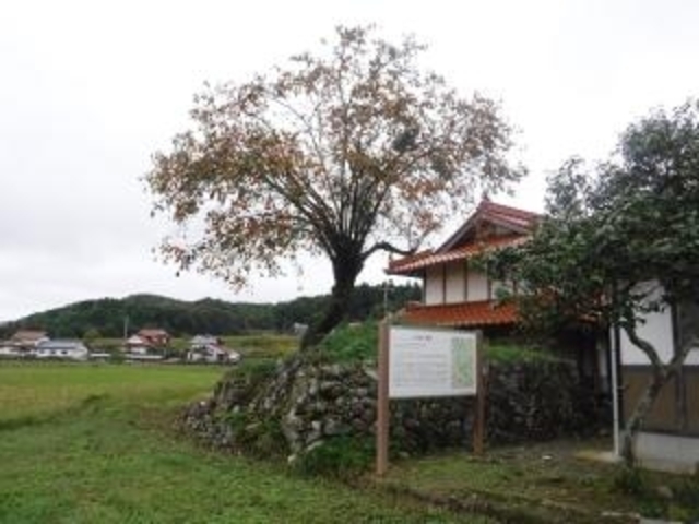 ���n�����̎ʐ^1