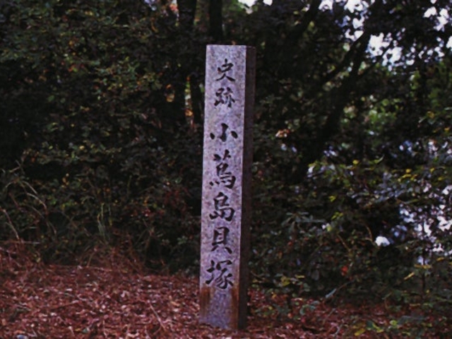 ���ӓ��L�˂̎ʐ^1