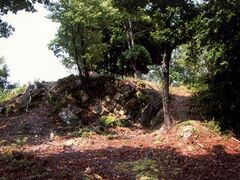 ������Ղ̎ʐ^1