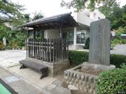 ���~���D��̎ʐ^1