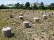 ���厛�̉��]���X�ƐՂ̎ʐ^2