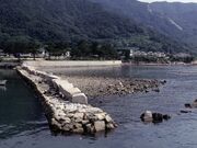 Ί_ΐ؂ƂщzՂяCcΌQ̎ʐ^1