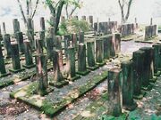 ��m�����R��n�̎ʐ^1