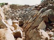 ��m����Ղ̎ʐ^1