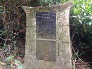 ���g�{�Ղ̎ʐ^1