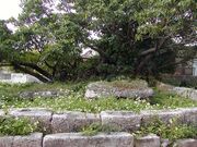 �v���݂�[���Q�̎ʐ^1