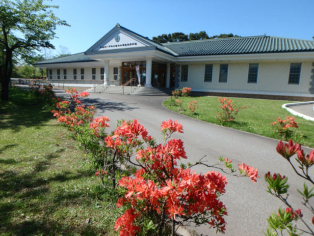 ���b�c�R�ᒆ�s�R�������