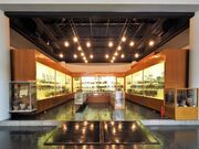 ���H�s���������������Z���^�[�̎ʐ^1