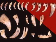 ����Β��j�Փ��]�E�����L�ˊق̎ʐ^1