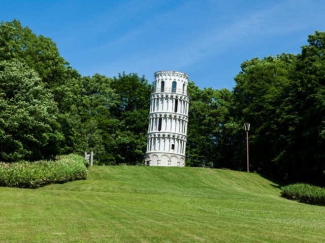 �k�C���q�ǂ��̍�