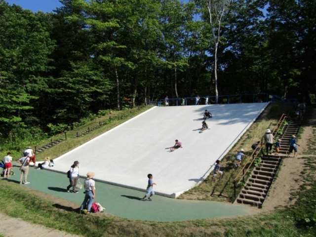 �k�C���q�ǂ��̍�