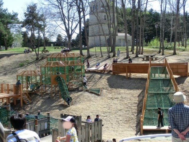 �k�C���q�ǂ��̍�