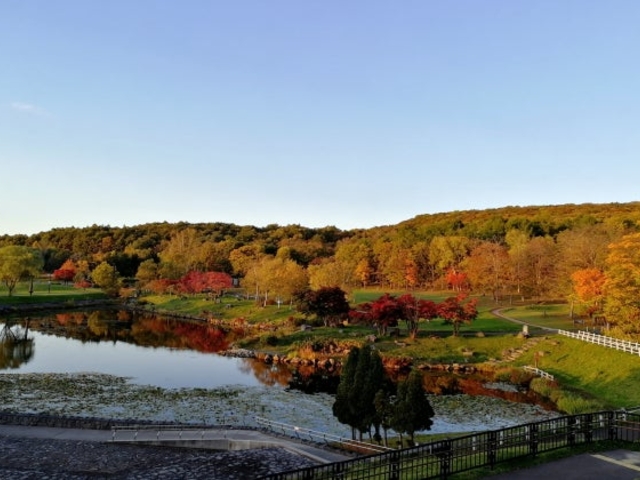 �k�C���q�ǂ��̍�