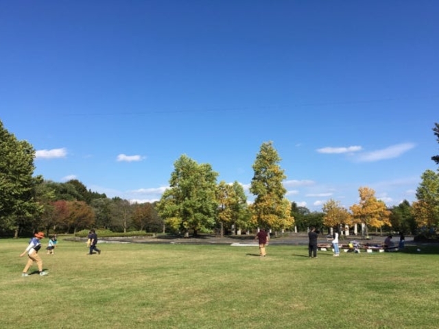 �t�@�~���[�����h_�䏊�΍L�����