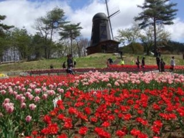 ��J��_���t�H���X�g�p�[�N�E�y��_��J��_���t�H���X�g�p�[�N�E�y��