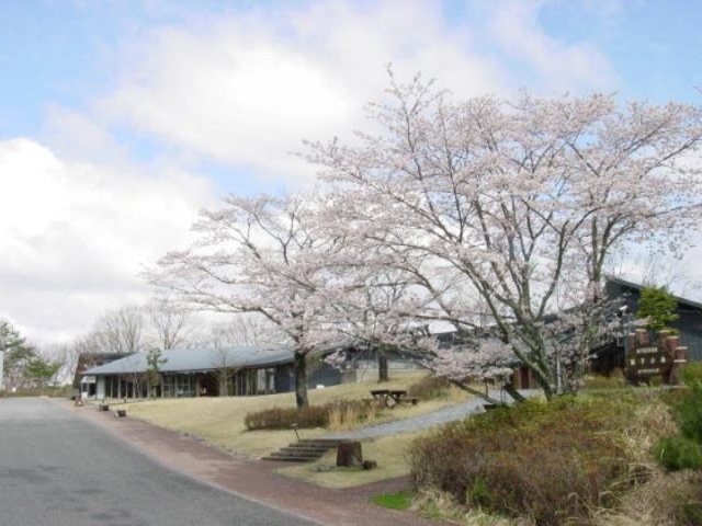 �t�H���X�g�v�q�̎ʐ^1