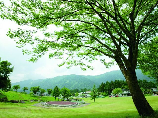 ���R�ꗢ������̎ʐ^1