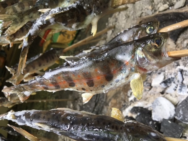 �É��������̐X