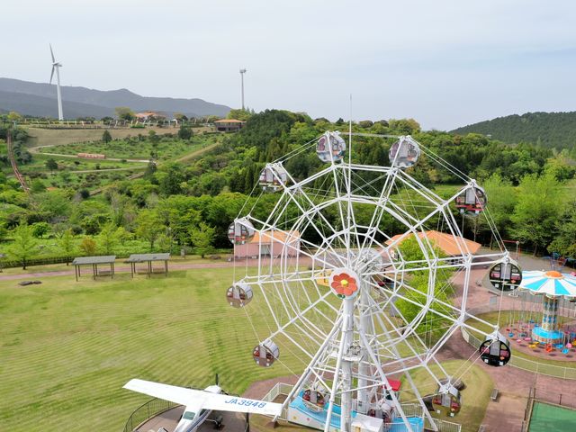 �R���ԍ����s�N�j�b�N�p�[�N�E�n�[�u���̎ʐ^1