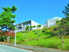 ���N�𗬊ق�[�Ղ鐁��̎ʐ^1