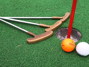 �R���ԍ����s�N�j�b�N�p�[�N�E�n�[�u���̎ʐ^3